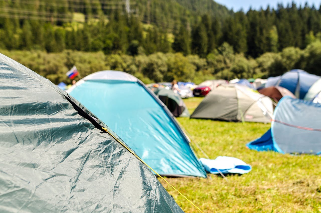 headline Vibrant camping tents set up in a lush forest landscape under a sunny sky.
